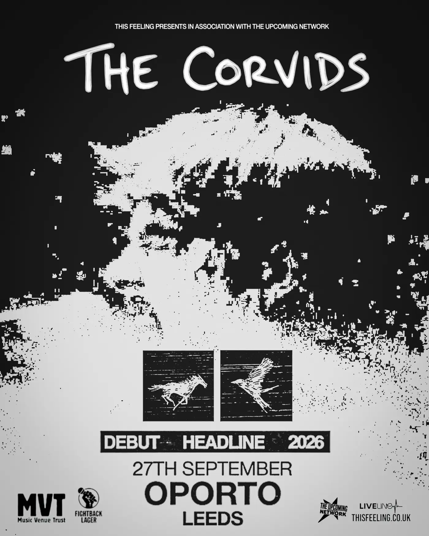 The Corvids